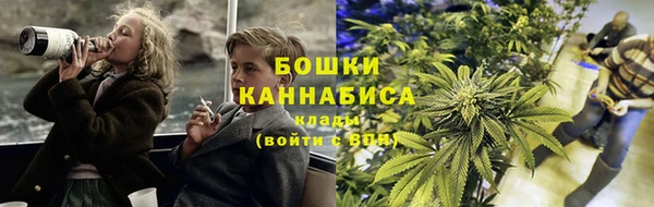 трава Абаза