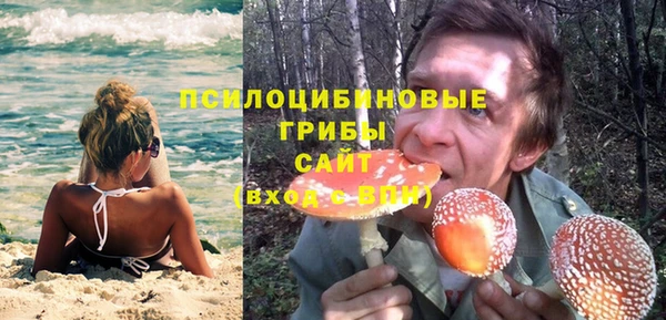 трава Абаза
