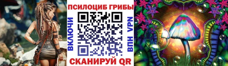 Галлюциногенные грибы Cubensis  Камень-на-Оби 